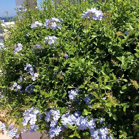 Apartment Katerina & Studios