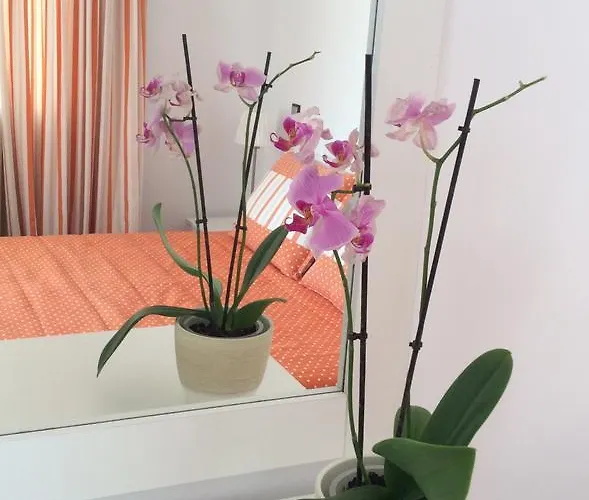 Katerina & Studios Naousa (Paros)